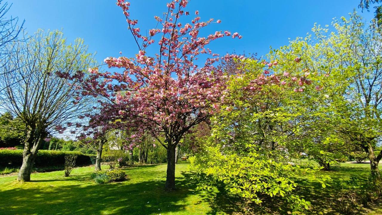 Вилла Le Tulipier Manneville-la-Raoult Экстерьер фото
